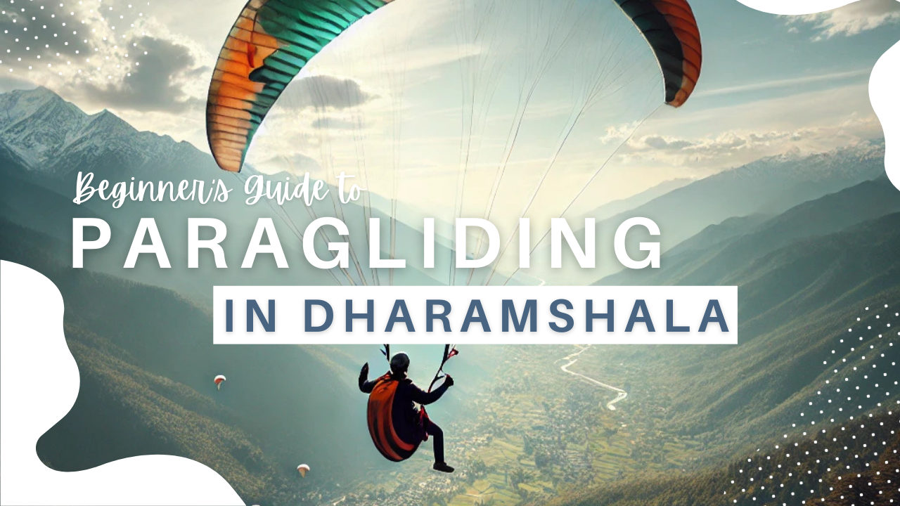 Beginner’s Guide to Paragliding: What You Need to Know Before You Take Off